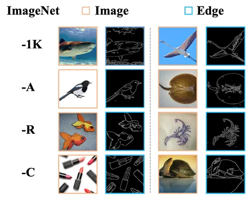 Low-cost algorithm greatly improves the robustness of visual classification! University of Sydney Chinese team releases new EdgeNet method