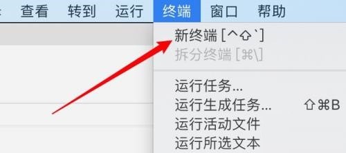 Vscode怎么在终端显示结果_Vscode在终端显示结果教程