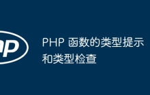 PHP 函数的类型提示和类型检查