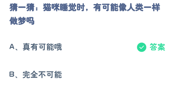 螞蟻莊園4月11日:貓咪睡覺時有可能像人類一樣做夢嗎