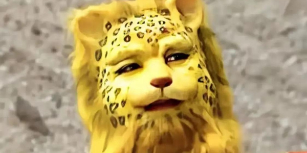 Introduction to the meaning of leopard avatar