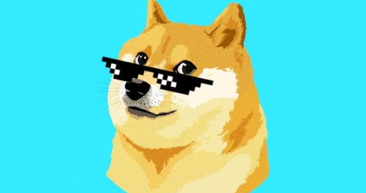 How to read the Dogecoin purchased from OuYi