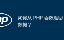 如何从 PHP 函数返回数据？