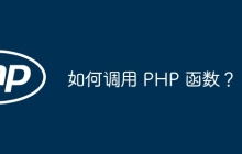 如何调用 PHP 函数？