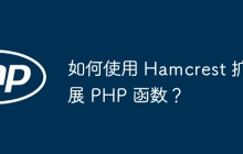 如何使用 Hamcrest 扩展 PHP 函数?
