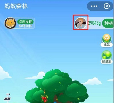 Where to check personal emission reductions in Alipay Ant Forest_A glance at the low carbon footprint of Alipay Ant Forest