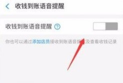 Where to set the Alipay payment sound_Tutorial on turning on the Alipay payment sound