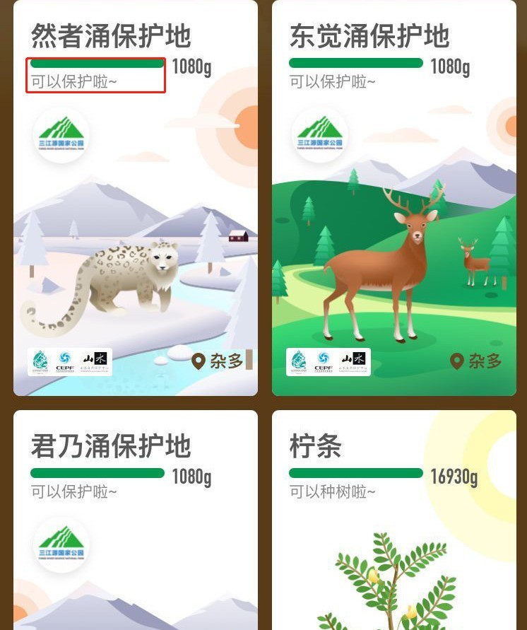 Alipay Ant Forestの新しい木とは_Alipay Ant Forestの新しい木一覧