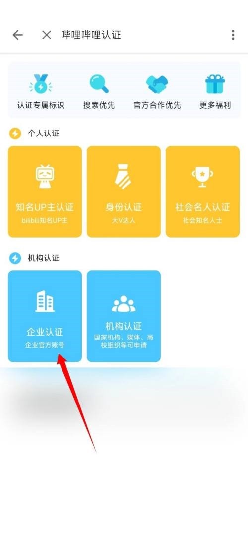 Di manakah terletaknya Bilibili Enterprise Certification_Bilibili Enterprise Certification Tutorial