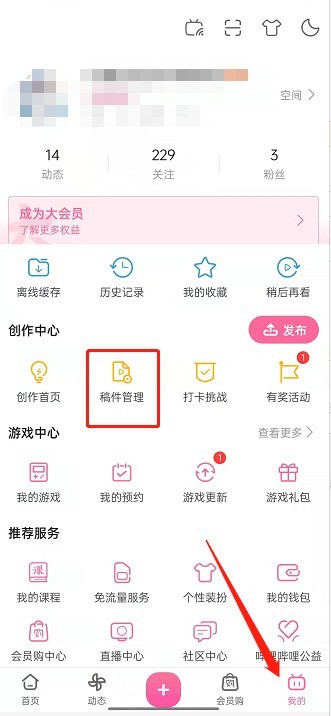 Cara mengubah suai kulit video yang diterbitkan di Bilibili_Cara mengubah suai kulit video di Bilibili