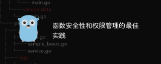 Best practices for function security and permission management