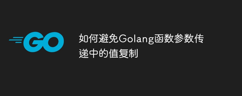 So vermeiden Sie das Kopieren von Werten bei der Übergabe von Golang-Funktionsparametern