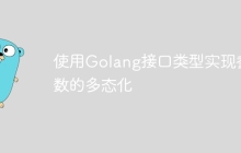 使用Golang接口类型实现参数的多态化
