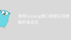 Using Golang interface types to implement parameter polymorphism