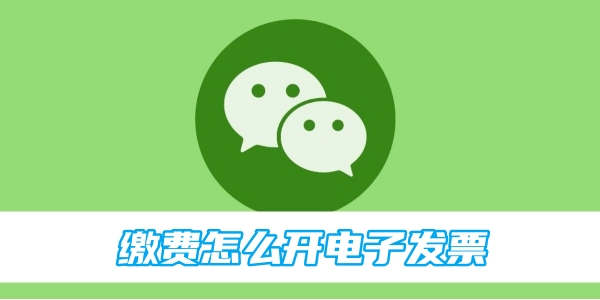 WeChat 결제를 위한 전자 청구서 발행 방법