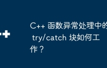 C++ 函数异常处理中的 try/catch 块如何工作?