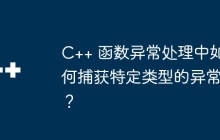 C++ 函数异常处理中如何捕获特定类型的异常?