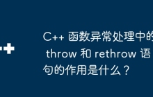 C++ 函数异常处理中的 throw 和 rethrow 语句的作用是什么?