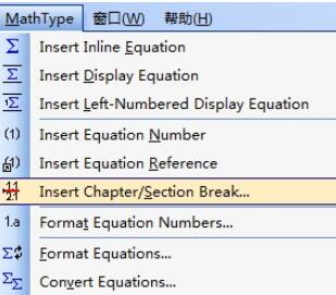 Detailed method to modify MathType formula numbering not to start from 1