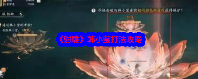 《射雕》韓小瑩打法攻略