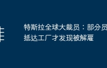 特斯拉全球大裁员：部分员工抵达工厂才发现被解雇