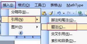 Tutorial method to hide Equation after MathType formula