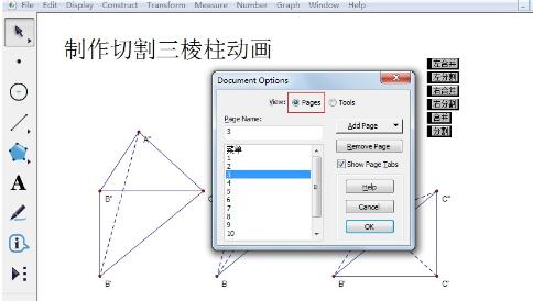 Geometry Sketchpad의 페이지에 다양한 내용을 표시하는 세부 단계