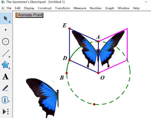 How to create butterfly animation using geometric sketchpad