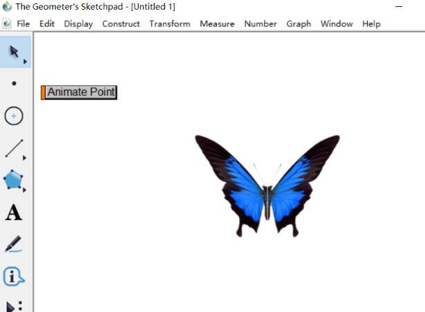 How to create butterfly animation using geometric sketchpad