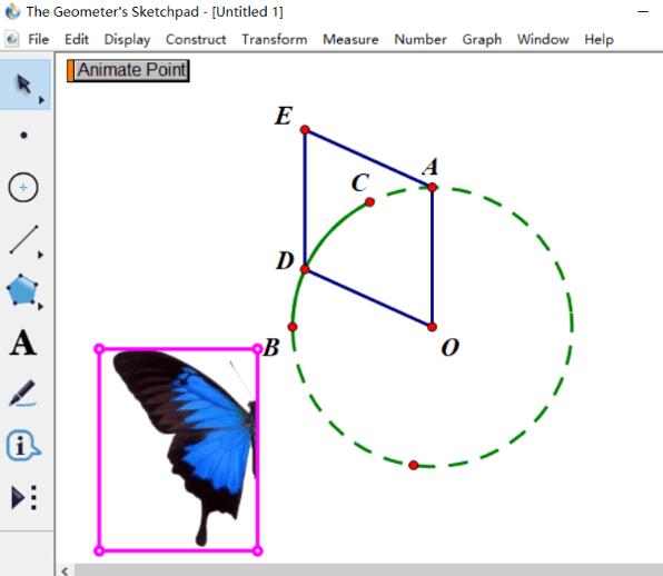 How to create butterfly animation using geometric sketchpad