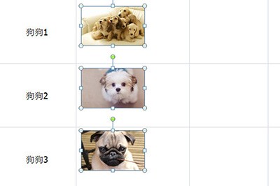 Excel に画像を一括インポートする方法_Excel に画像を一括インポートする方法