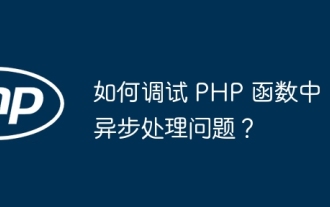 PHP 함수의 비동기 처리 문제를 디버깅하는 방법은 무엇입니까?