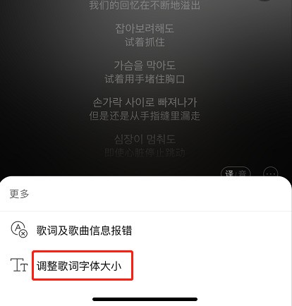 How to adjust the font size of NetEase Cloud Music lyrics_List of steps to change the font size of NetEase Cloud Music lyrics