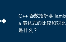C++ 函数指针与 lambda 表达式的比较和对比是什么？
