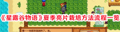 星露谷物语夏季亮片怎么栽培 星露谷物语夏季亮片栽培方法