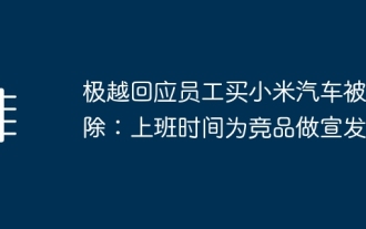 極越回應員工買小米汽車被開除:上班時間為競品做宣讀