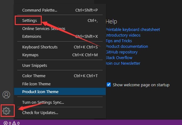 How to set up automatic detection in Vscode_How to set up automatic detection in Vscode