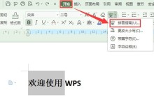 wps教育版怎样给文字注音_wps教育版给文字注音的方法介绍