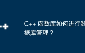 How does the C++ function library perform database management?