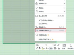 wps表格怎么开启垂直对齐_wps表格设置垂直对齐选项方法介绍