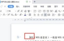 WPS2019怎么插入图标_WPS2019插入图标的方法