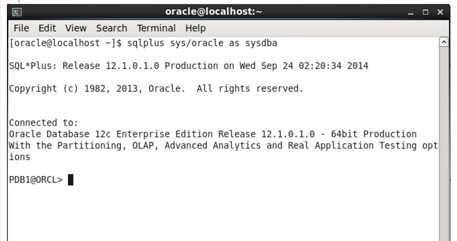 快速建置Linux作業系統和Oracle資料庫