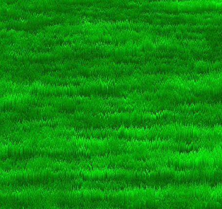 How to create a grass plane top view effect in photoshop_Detailed steps to create a grass plane top view effect