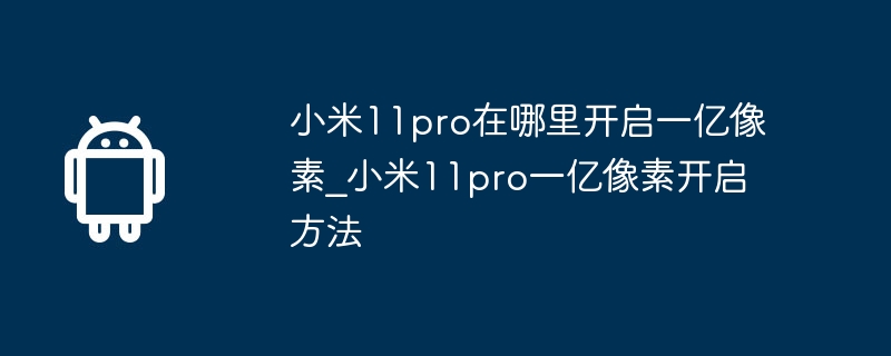 Xiaomi 11pro で 1 億ピクセルを有効にする場所_Xiaomi 11pro で 1 億ピクセルを有効にする方法