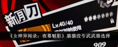 《女神异闻录:夜幕魅影》猫猫没专武武器选择