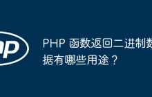 PHP 函数返回二进制数据有哪些用途？