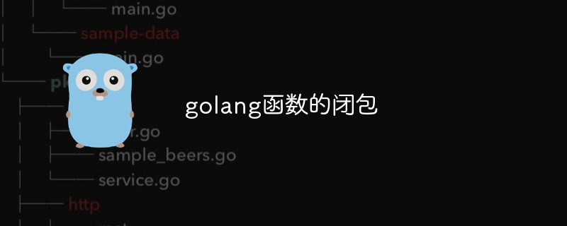 golang 기능 폐쇄