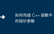 如何传递 C++ 函数中的指针参数