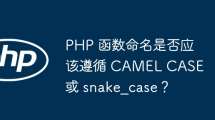 PHP 函数命名是否应该遵循 CAMEL CASE 或 snake_case？