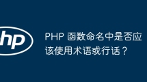 PHP 函数命名中是否应该使用术语或行话？
